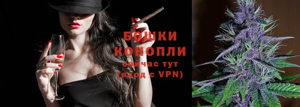 сатива Горняк