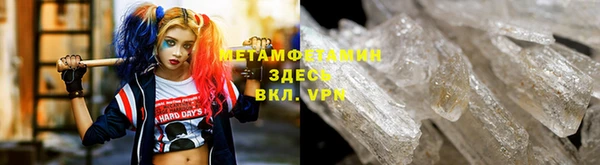 сатива Горняк