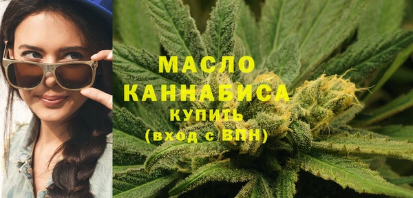 сатива Горняк