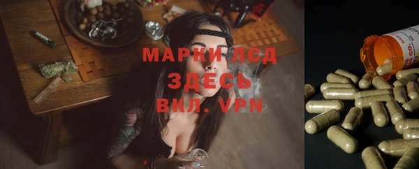 первитин Козельск