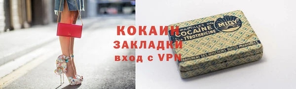 сатива Горняк