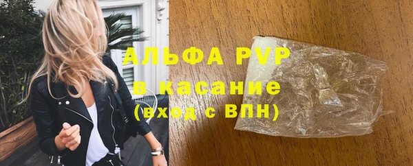 сатива Горнозаводск