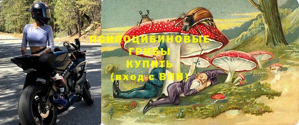 сатива Горнозаводск