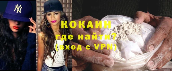 сатива Горняк