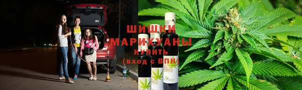 сатива Горняк