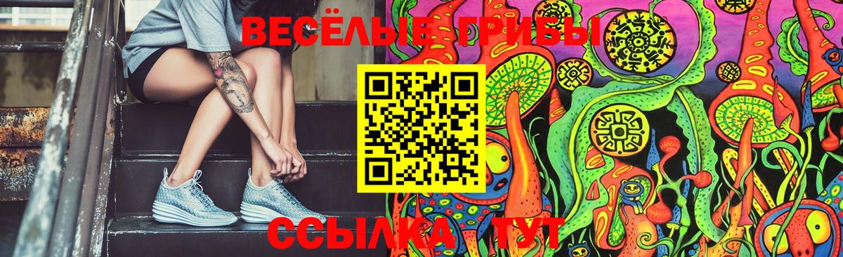 Галлюциногенные грибы GOLDEN TEACHER  Вход с VPN  Ирбит 